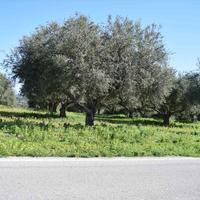 Land plot in Greece, Crete