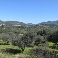 Land plot in Greece, Crete