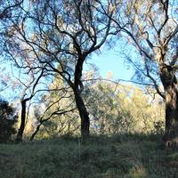 Land plot in Greece, Ionian Islands