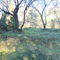Land plot in Greece, Ionian Islands