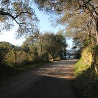 Land plot in Greece, Ionian Islands