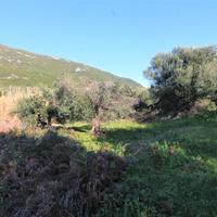 Land plot in Greece, Ionian Islands