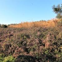 Land plot in Greece, Ionian Islands