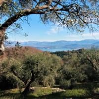 Land plot in Greece, Ionian Islands