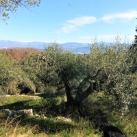 Land plot in Greece, Ionian Islands