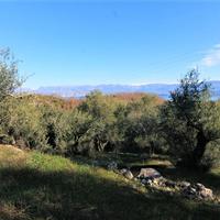 Land plot in Greece, Ionian Islands