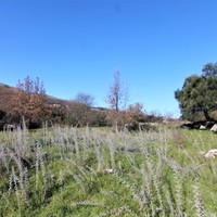 Земельный участок в Греции, Ионические острова