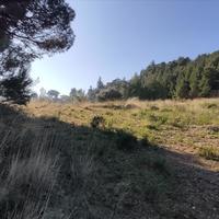 Land plot in Greece, Central Macedonia