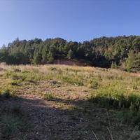 Land plot in Greece, Central Macedonia
