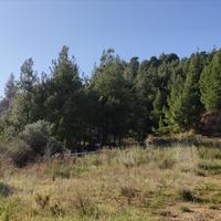 Land plot in Greece, Central Macedonia