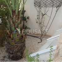 Апартаменты на Кипре, Пафос, 165 кв.м.