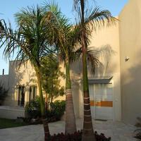 Вилла в Израиле, 750 кв.м.