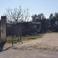 Land plot in Greece, Central Macedonia