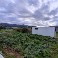 Land plot in Greece, Crete