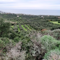 Land plot in Greece, Crete