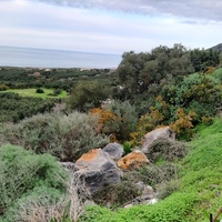 Land plot in Greece, Crete