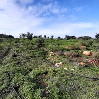 Land plot in Greece, Crete