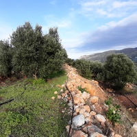 Land plot in Greece, Crete