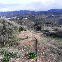 Land plot in Greece, Crete