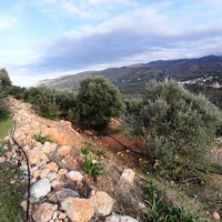 Land plot in Greece, Crete