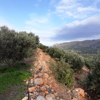 Land plot in Greece, Crete