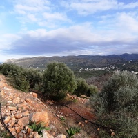 Land plot in Greece, Crete