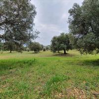 Land plot in Greece, Central Macedonia