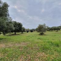 Land plot in Greece, Central Macedonia