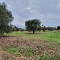 Land plot in Greece, Central Macedonia