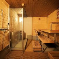 House in Finland, 100 sq.m.