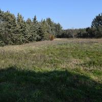 Land plot in Greece
