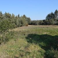 Land plot in Greece