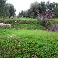 Land plot in Greece