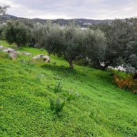 Land plot in Greece
