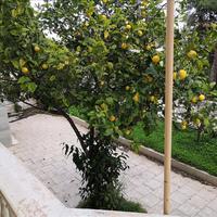 Other in Greece, 120 sq.m.