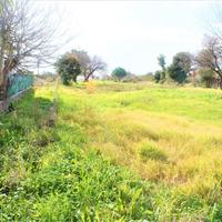 Land plot in Greece