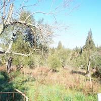 Земельный участок в Греции