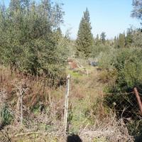 Земельный участок в Греции