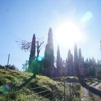 Земельный участок в Греции