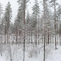 Квартира в Финляндии, 54 кв.м.