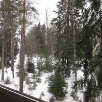 Квартира в Финляндии, 56 кв.м.