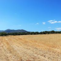 Land plot in Greece
