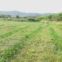 Other in Greece, 140 sq.m.