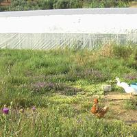 Other in Greece, 140 sq.m.