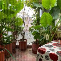 Flat in Greece, 88 sq.m.