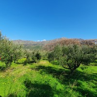 Land plot in Greece