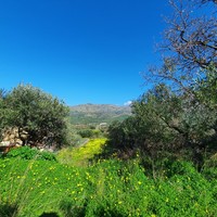 Land plot in Greece