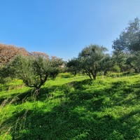 Land plot in Greece