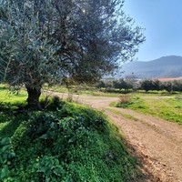 Земельный участок в Греции