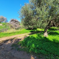 Земельный участок в Греции